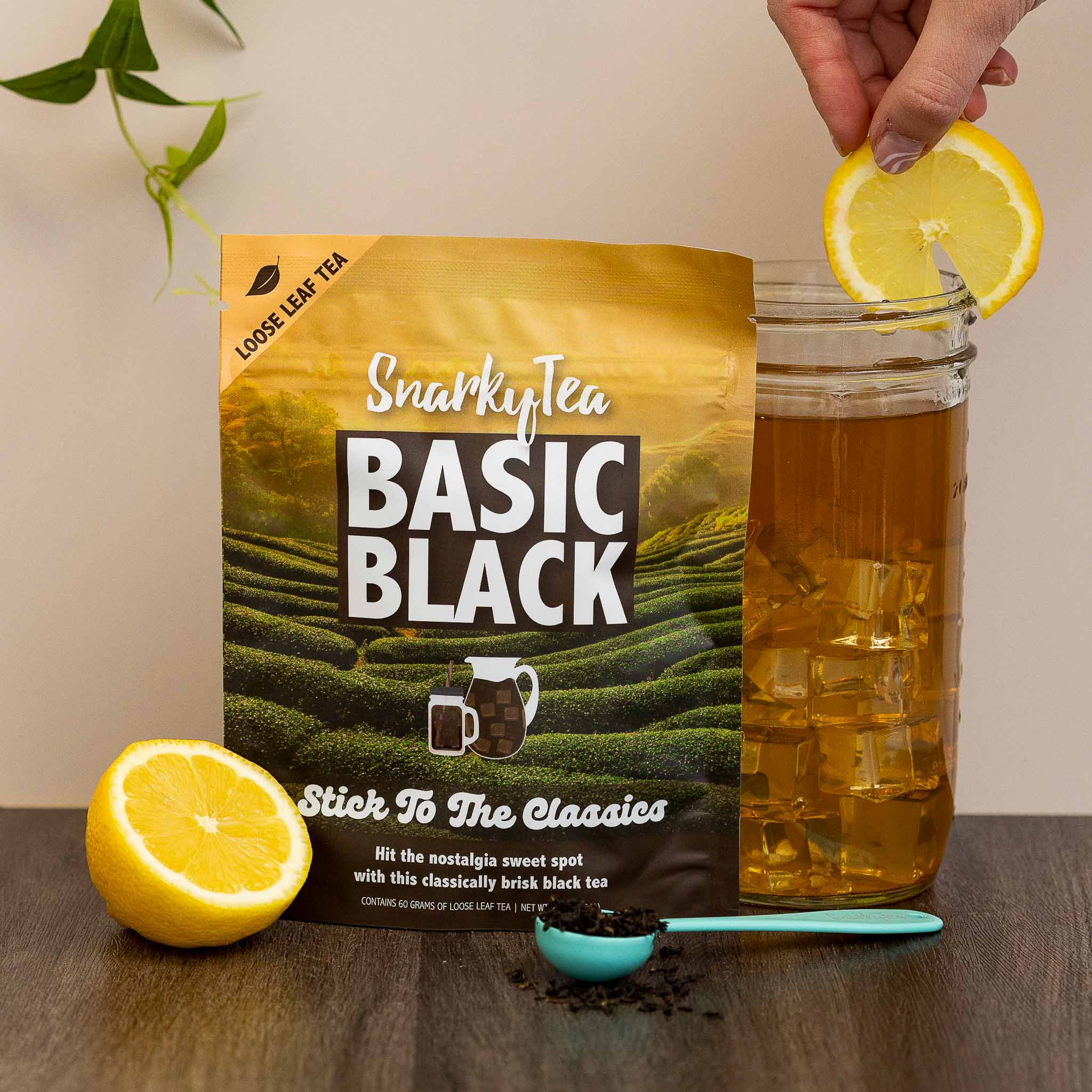 Special.T - Classic black tea mix (4 types of 10 capsules) : :  Grocery